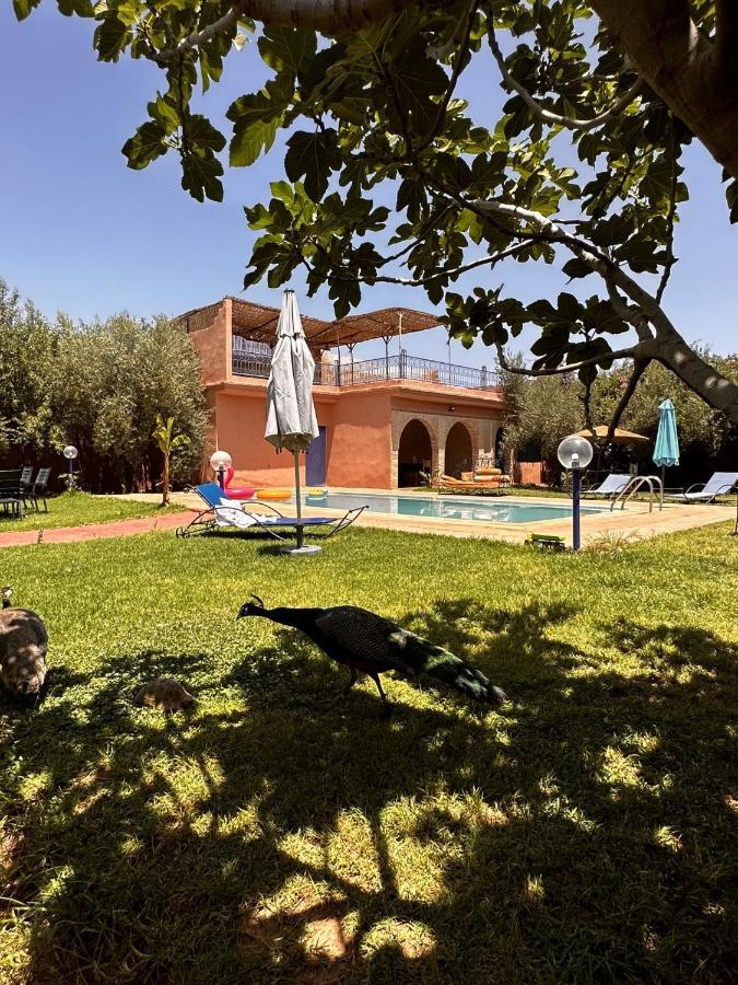 Villa Ms Holidays Mika Privatisee Marrakech Marraquexe Exterior foto