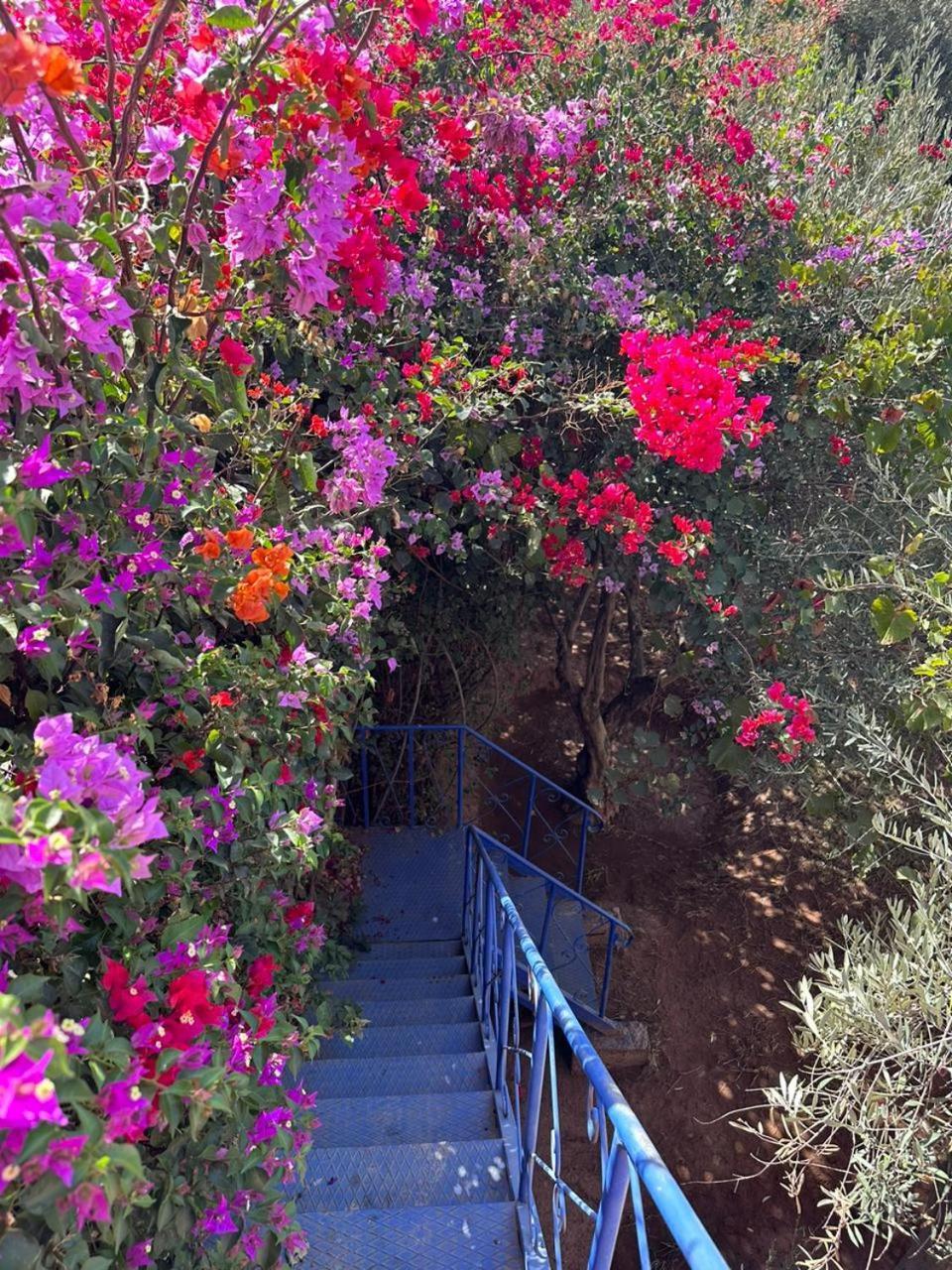 Villa Ms Holidays Mika Privatisee Marrakech Marraquexe Exterior foto