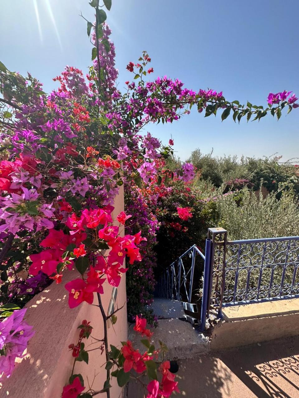 Villa Ms Holidays Mika Privatisee Marrakech Marraquexe Exterior foto