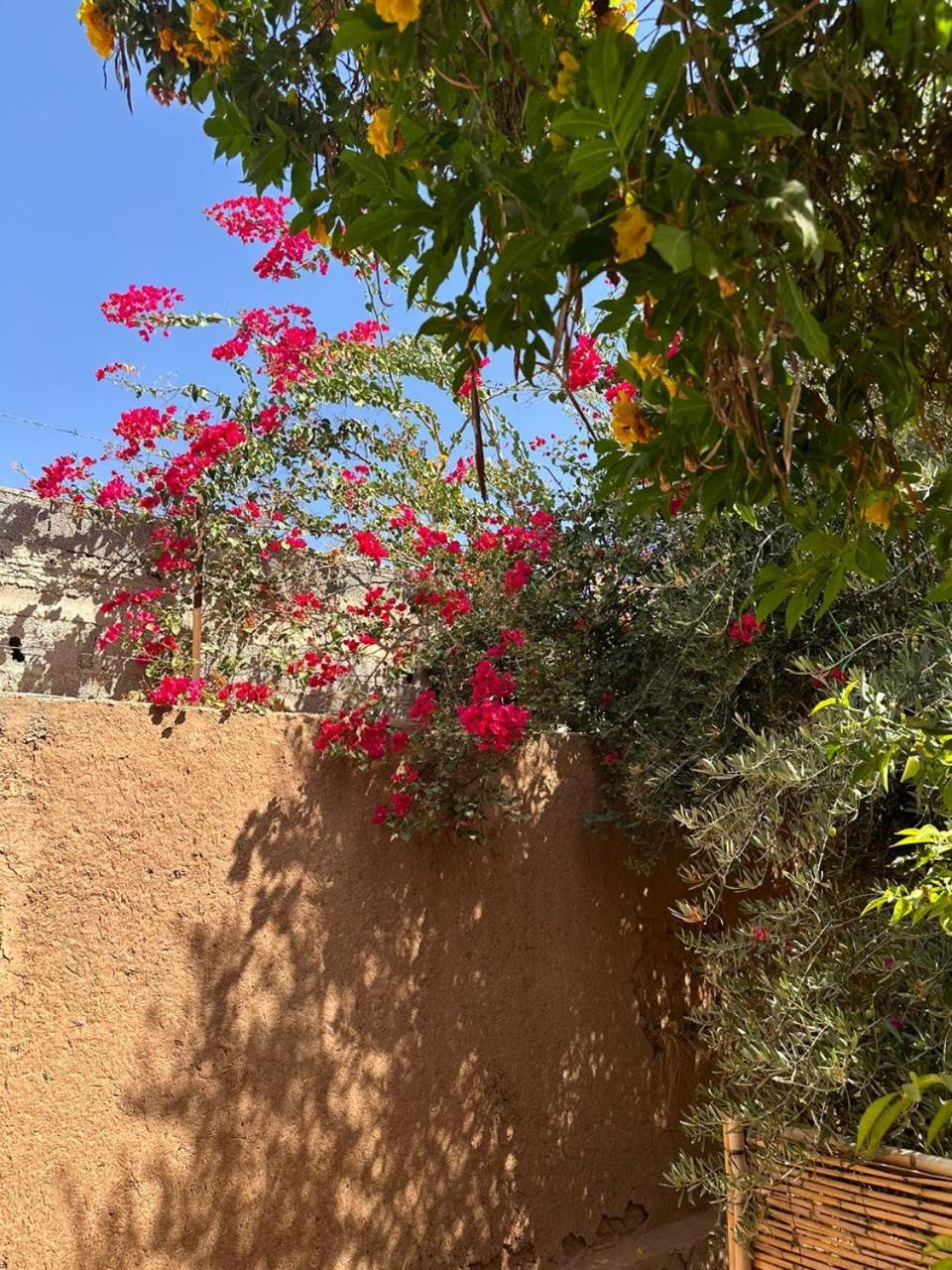 Villa Ms Holidays Mika Privatisee Marrakech Marraquexe Exterior foto